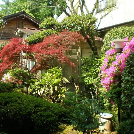 Uetoh Gifu